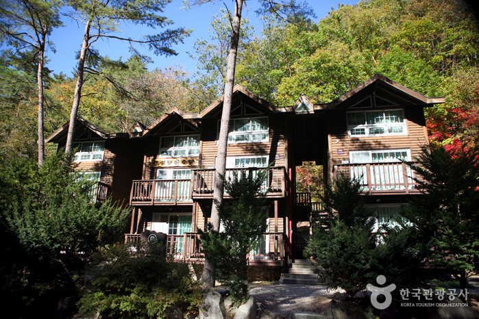 国立芳台山自然休养林(국립 방태산자연휴양림) 国立芳台山自然休养林(국립 방태산자연휴양림)