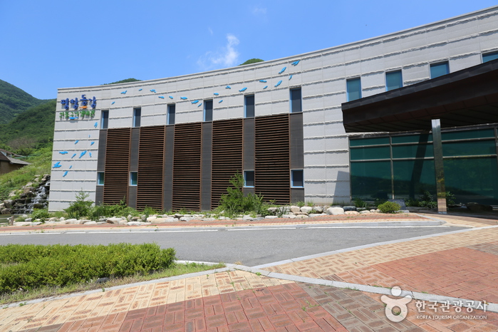 平昌东江淡水鱼生态馆(평창동강민물고기생태관)