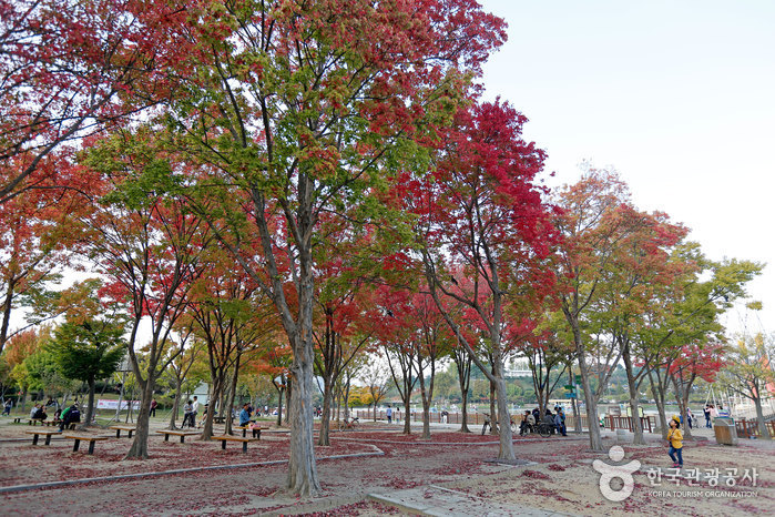 德津公园(덕진공원)