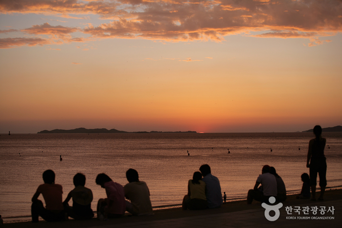大川海水浴场대천해수욕장