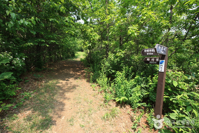 骊州婆娑城여주 파사성