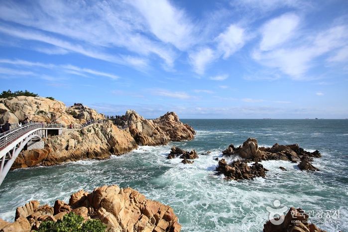 大王岩公园(대왕암공원)