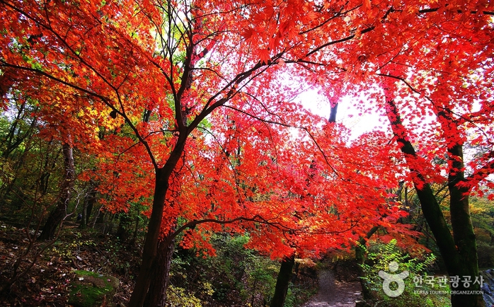 冠岳山(관악산) 冠岳山(관악산)