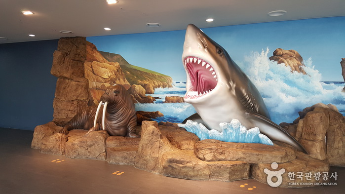 一山Aqua Planet海洋世界아쿠아플라넷 일산