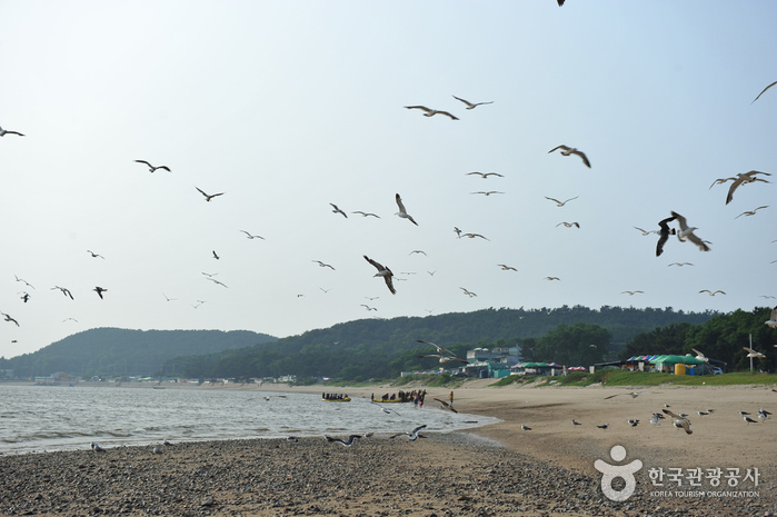 龙游岛 马嘶鞍海滩(용유도 마시안해변)