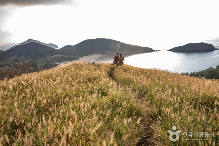 掘业岛(굴업도)