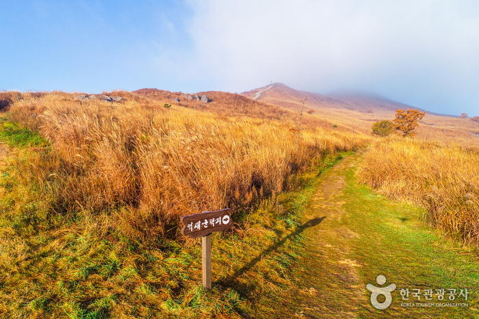 黄梅山황매산 黄梅山황매산