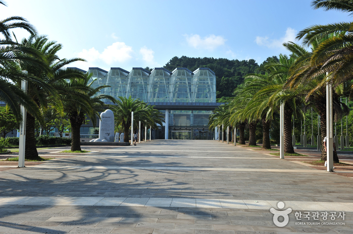 济州国际和平中心(제주국제평화센터)