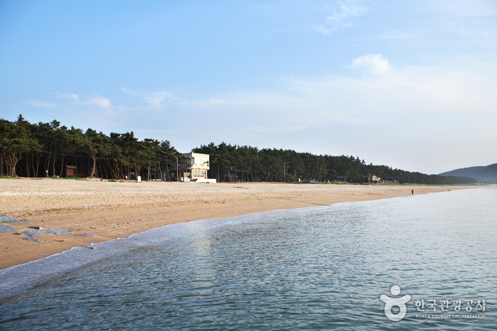 故沙浦海水浴場(고사포해수욕장) 故沙浦海水浴場(고사포해수욕장)