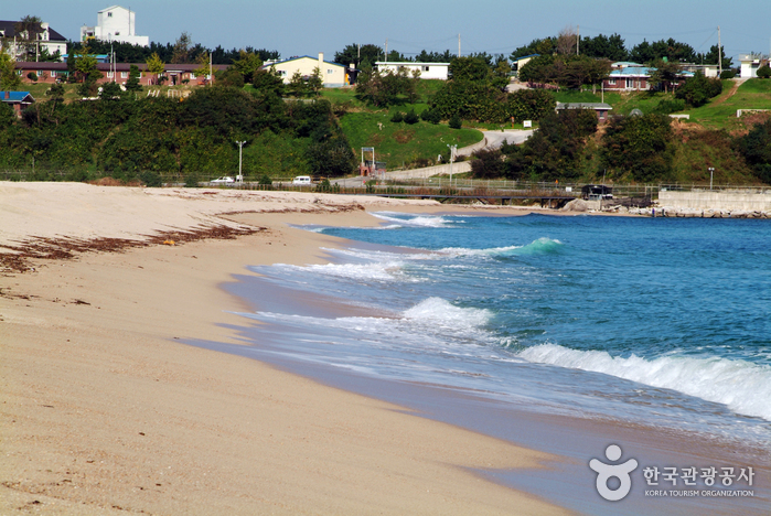 連谷海邊(連谷海水浴場)(연곡해변(연곡해수욕장)) 連谷海邊(連谷海水浴場)(연곡해변(연곡해수욕장))