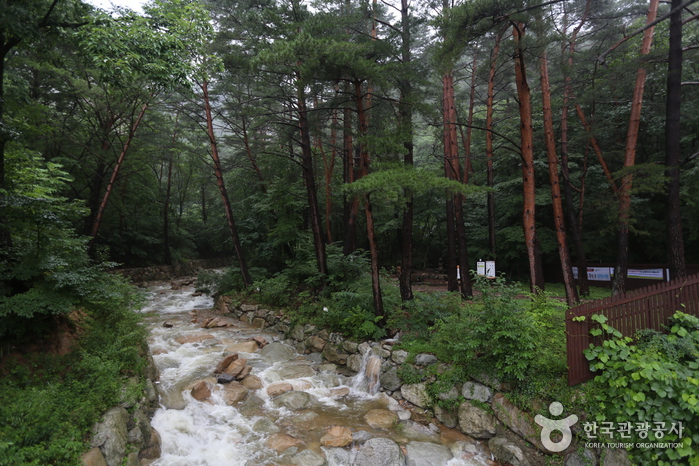 大勝瀑布(대승폭포) 大勝瀑布(대승폭포)