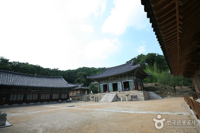 桐華寺(大邱)(동화사(대구)) 桐華寺(大邱)(동화사(대구))