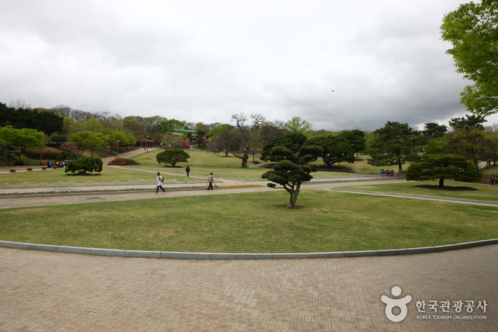 大邱達城公園(대구 달성공원)