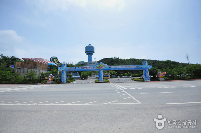 錦江候鳥眺望臺(금강철새조망대) 錦江候鳥眺望臺(금강철새조망대)