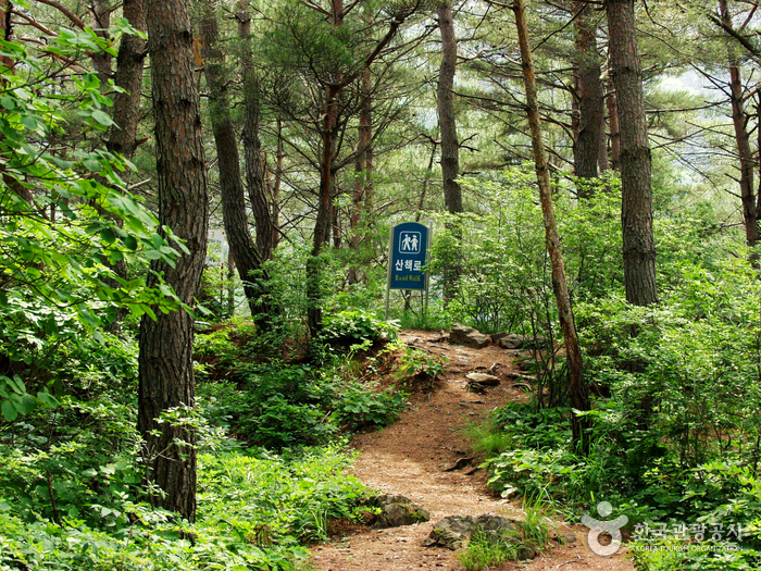 沒雲臺(旌善) 몰운대(정선)