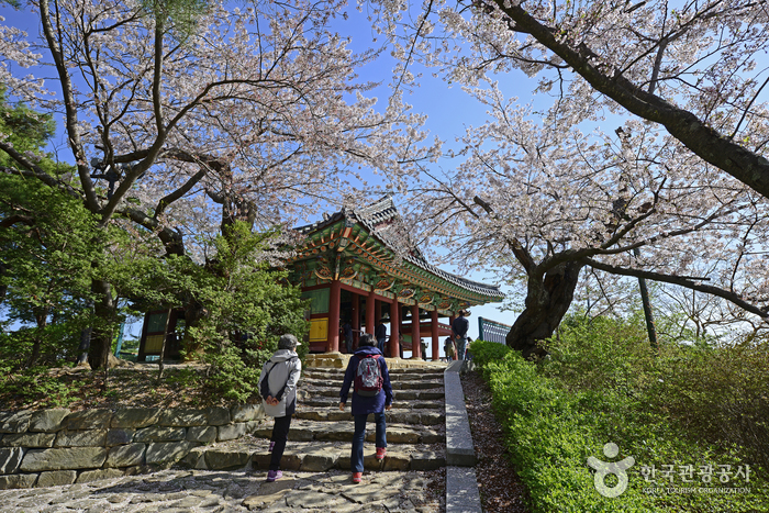 江陵鏡浦臺(강릉 경포대)