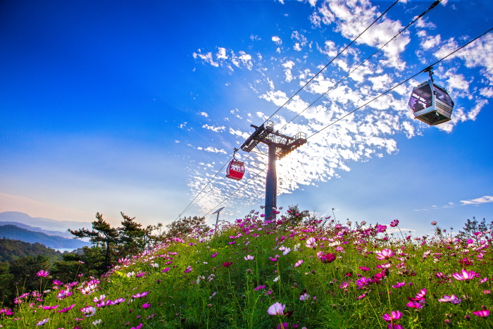 木浦海上纜車(목포 해상케이블카)