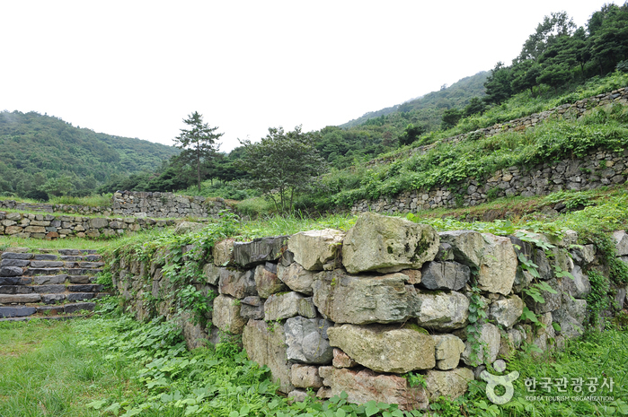 龍藏山城 龍藏山城