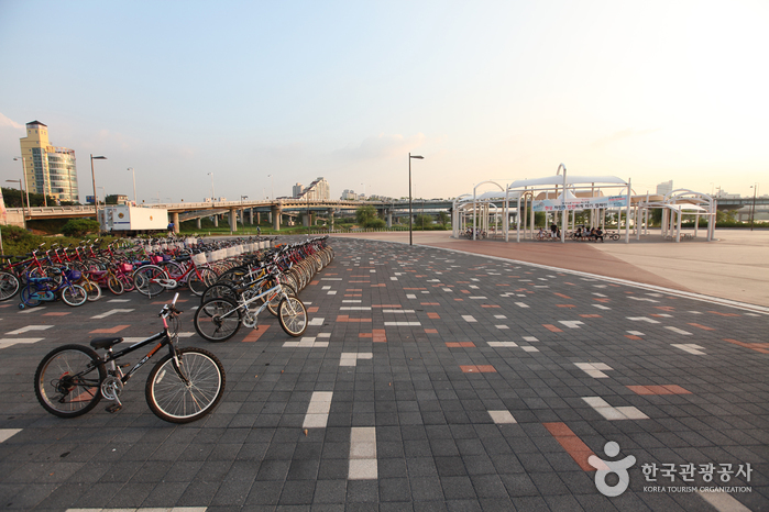 廣渡口漢江公園(광나루한강공원)