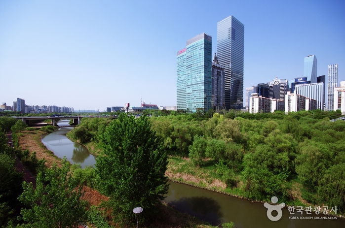 Yeouido Saetgang Ecological Park (여의도샛강생태공원) Yeouido Saetgang Ecological Park (여의도샛강생태공원)