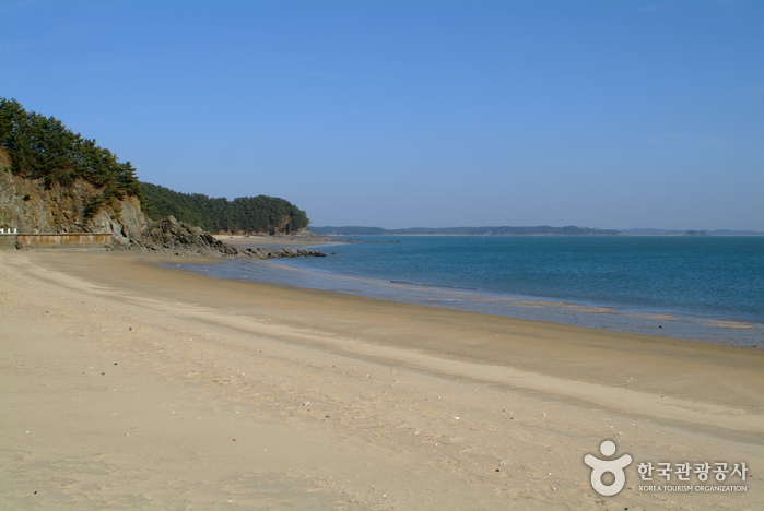 Yeonpo Beach (연포해수욕장) Yeonpo Beach (연포해수욕장)