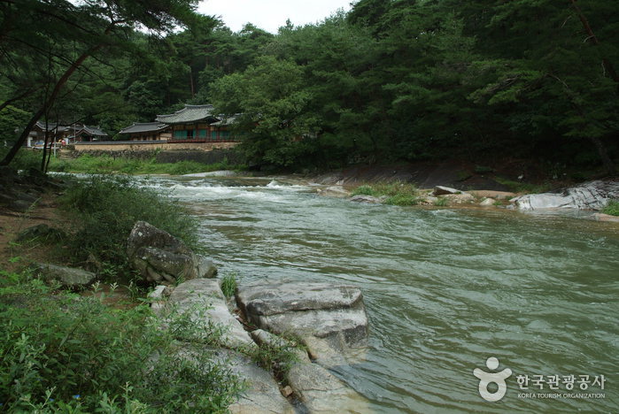 Seokcheongyegok Valley (석천계곡) Seokcheongyegok Valley (석천계곡)