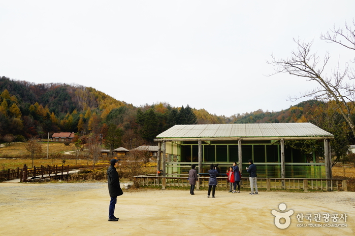 Birthplace of Lee Hyo-seok (이효석 생가) Birthplace of Lee Hyo-seok (이효석 생가)
