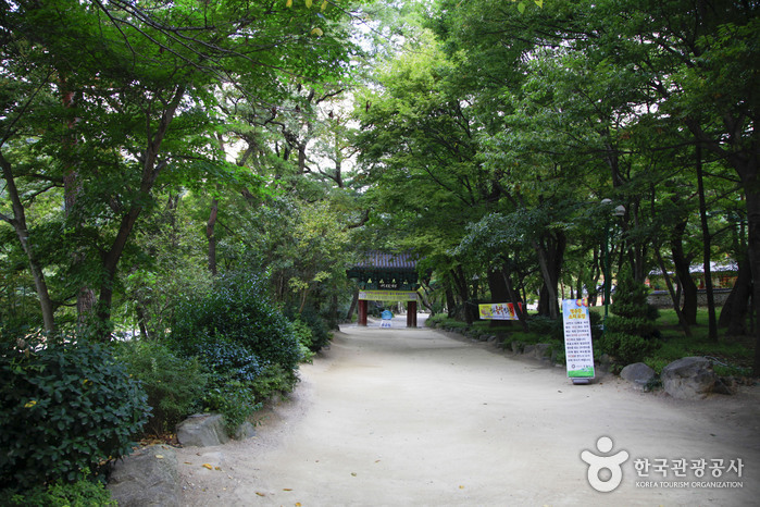 Naeyeonsan County Park (내연산군립공원)