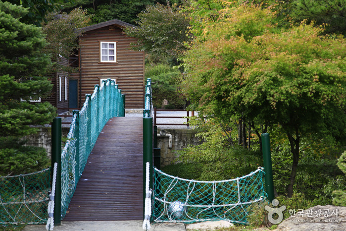 Seongjubong Recreational Forest (성주봉자연휴양림) Seongjubong Recreational Forest (성주봉자연휴양림)