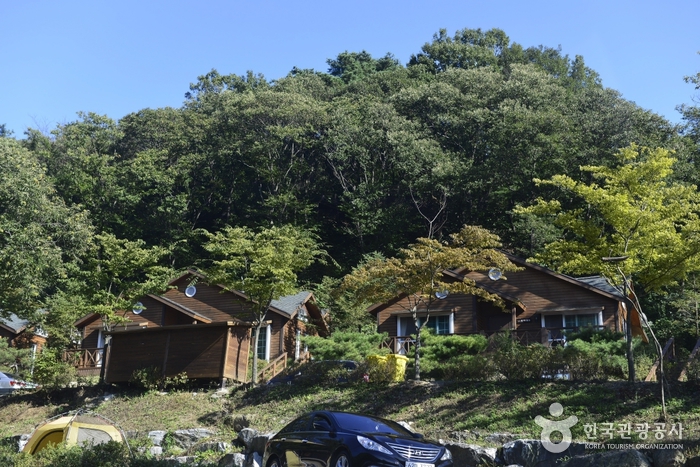 Yongin Recreational Forest (용인자연휴양림) Yongin Recreational Forest (용인자연휴양림)