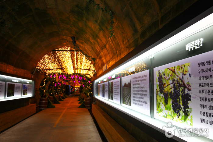 Muju Meoru Wine Cave (무주머루와인동굴) Muju Meoru Wine Cave (무주머루와인동굴)