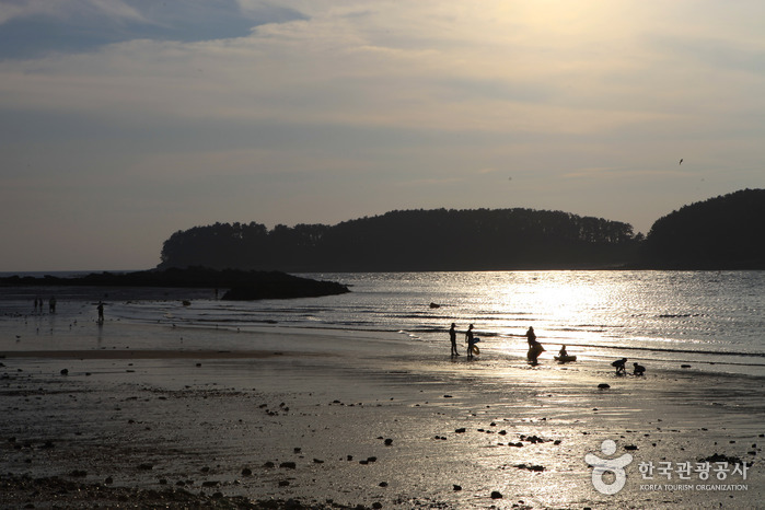 Muchangpo Beach (무창포해수욕장) Muchangpo Beach (무창포해수욕장)