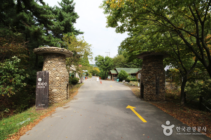 Huirisan Pine Tree Recreational Forest (국립 희리산해송자연휴양림) Huirisan Pine Tree Recreational Forest (국립 희리산해송자연휴양림)