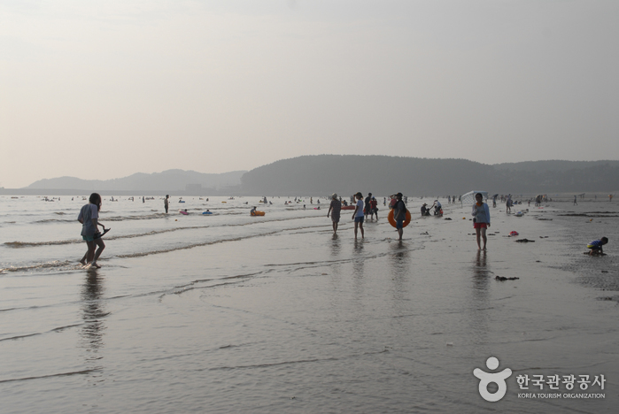 Mongsanpo Beach (몽산포해수욕장) Mongsanpo Beach (몽산포해수욕장)