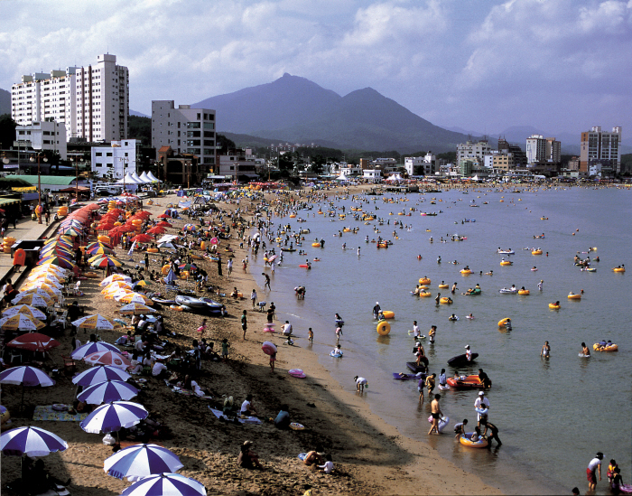 Ilgwang Beach (일광해수욕장) Ilgwang Beach (일광해수욕장)