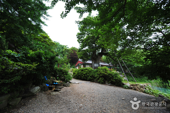 Incheon Yonggungsa Temple (용궁사 (인천)) Incheon Yonggungsa Temple (용궁사 (인천))