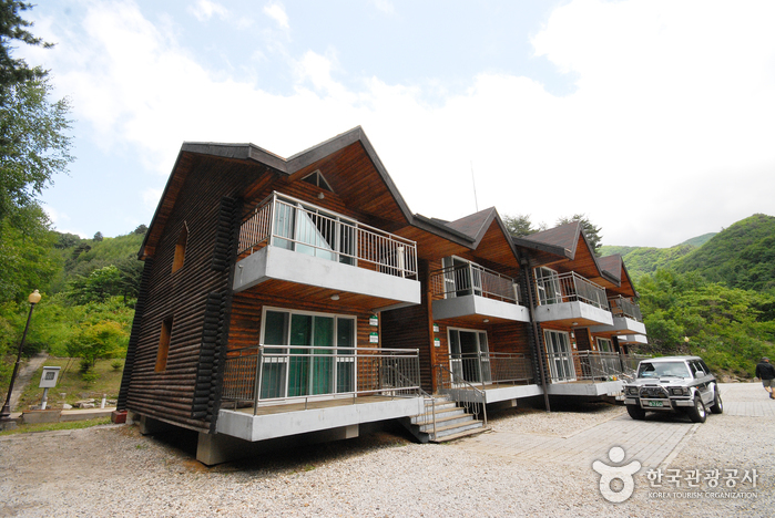 Bokjusan National Recreational Forest (국립 복주산자연휴양림)