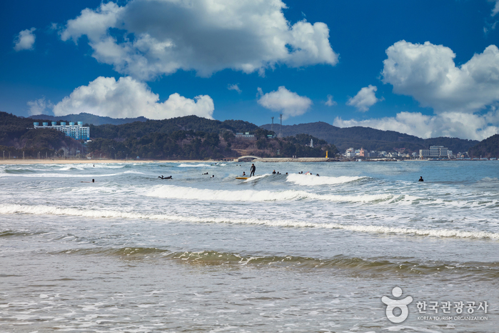 Namae Beach (남애해수욕장) Namae Beach (남애해수욕장)