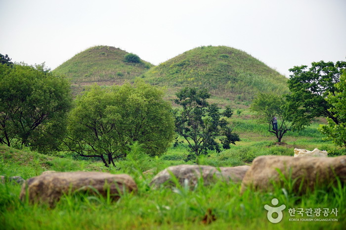 Ancient Tombs in Bullo-dong (대구 불로동 고분군) Ancient Tombs in Bullo-dong (대구 불로동 고분군)