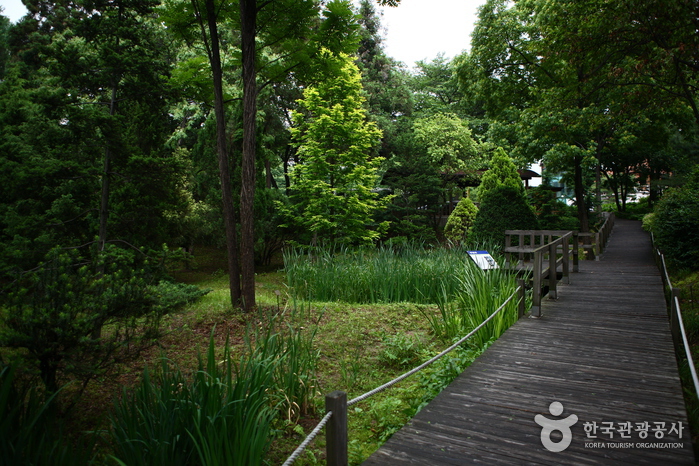 Hongneung Arboretum (홍릉수목원) Hongneung Arboretum (홍릉수목원)