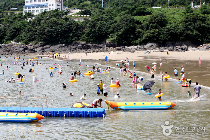 Mohang Beach (모항해수욕장) Mohang Beach (모항해수욕장)