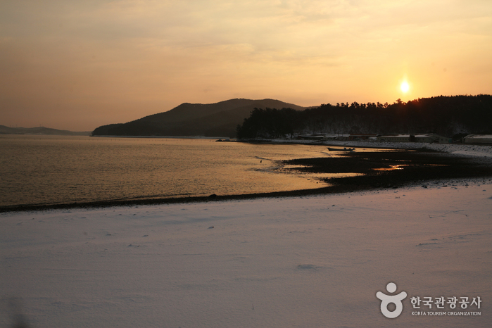 Cheonsuman Bay - Migratory Bird Sanctuary (천수만(철새도래지)) Cheonsuman Bay - Migratory Bird Sanctuary (천수만(철새도래지))