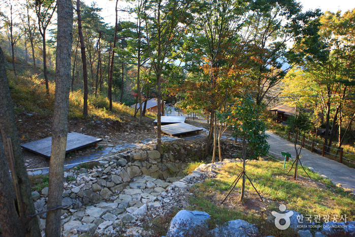 Cheongwansan National Recreational Forest (국립 천관산자연휴양림) Cheongwansan National Recreational Forest (국립 천관산자연휴양림)