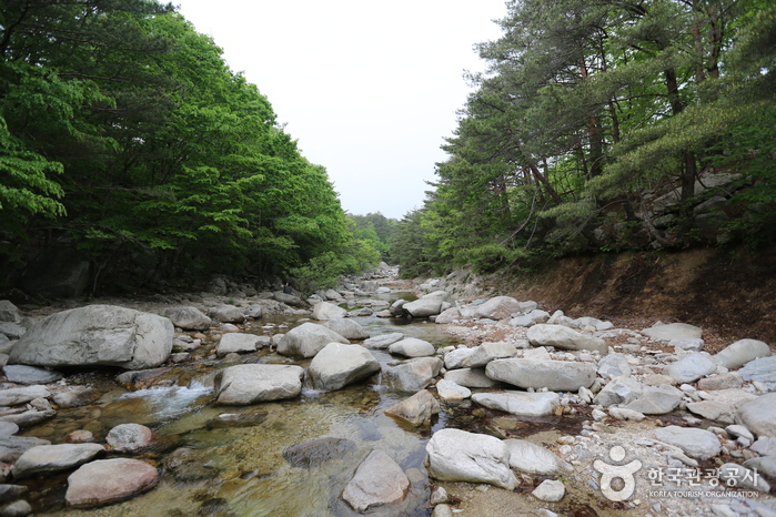 Misiryeonggyegok Valley (미시령계곡) Misiryeonggyegok Valley (미시령계곡)