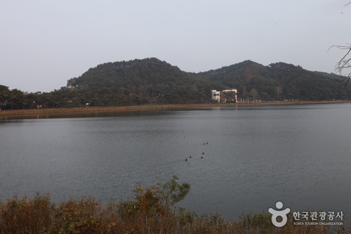 Hwajinpo Lake (화진포(화진포호)) Hwajinpo Lake (화진포(화진포호))