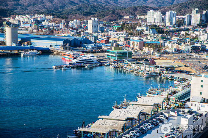 Mukhohang Port (묵호항) Mukhohang Port (묵호항)