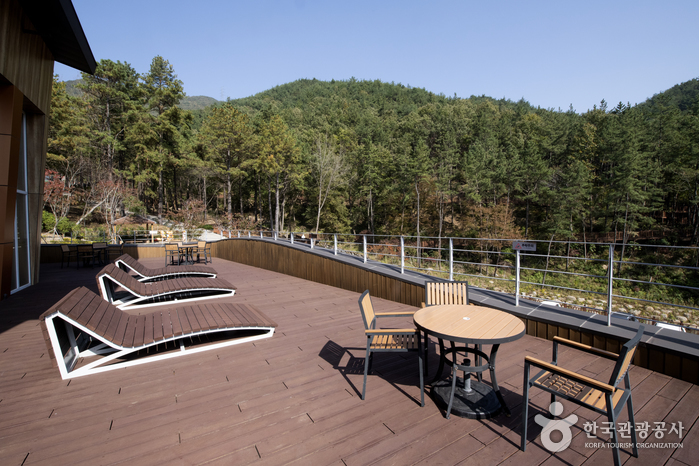 Forêt Baegunsan (백운산자연휴양림) Forêt Baegunsan (백운산자연휴양림)