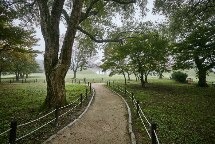Forêt de Gyerim à Gyeongju (경주 계림) Forêt de Gyerim à Gyeongju (경주 계림)