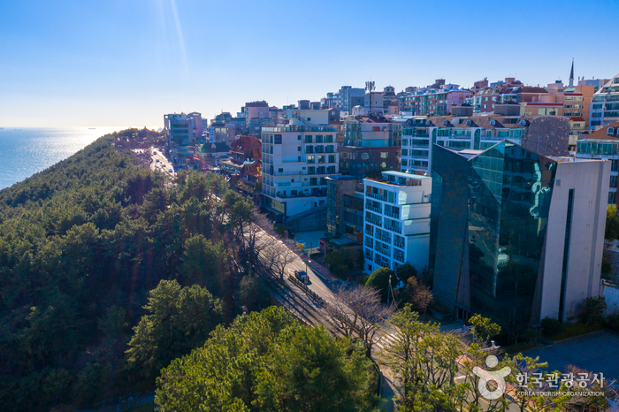 Colline de Dalmajigil à Haeundae (해운대 달맞이길) Colline de Dalmajigil à Haeundae (해운대 달맞이길)