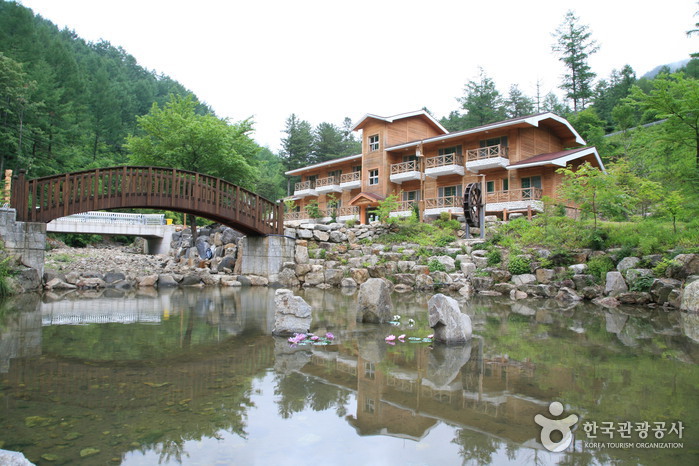 Forêt de Deogyusan (덕유산자연휴양림) Forêt de Deogyusan (덕유산자연휴양림)
